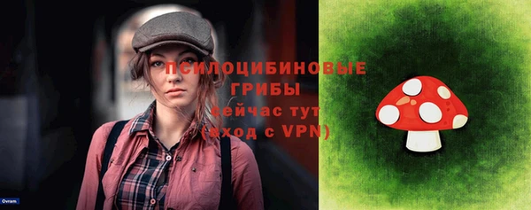 индика Баксан