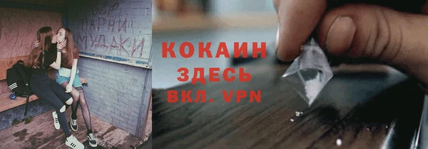 индика Баксан
