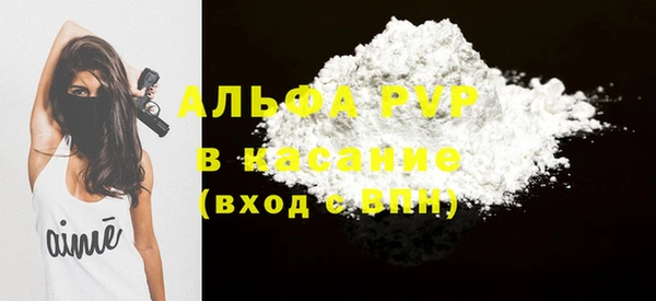 индика Баксан