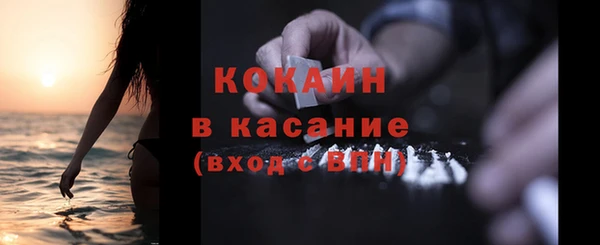 индика Баксан