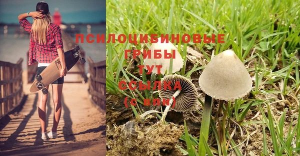 индика Баксан