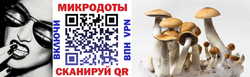 OMG ссылки  Верея  мориарти как зайти  купить наркотики цена  Псилоцибиновые грибы Psilocybe 